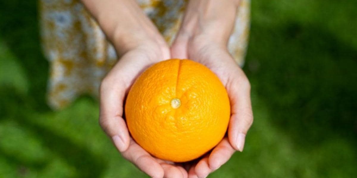 "manos sosteniendo una naranja"